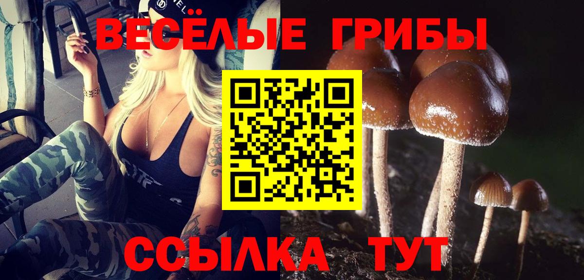Псилоцибиновые грибы Cubensis Ржев