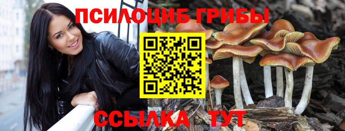 что такое наркотик  Вход с VPN  Галлюциногенные грибы прущие грибы  Ржев  Галлюциногенные грибы мухоморы 